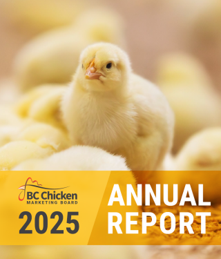2025 Annual Report - cover page
